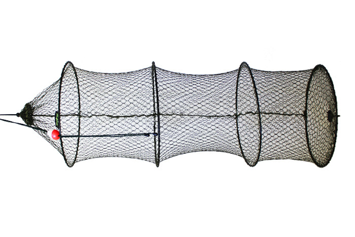 Delphin Setzkescher Base 35x80cm