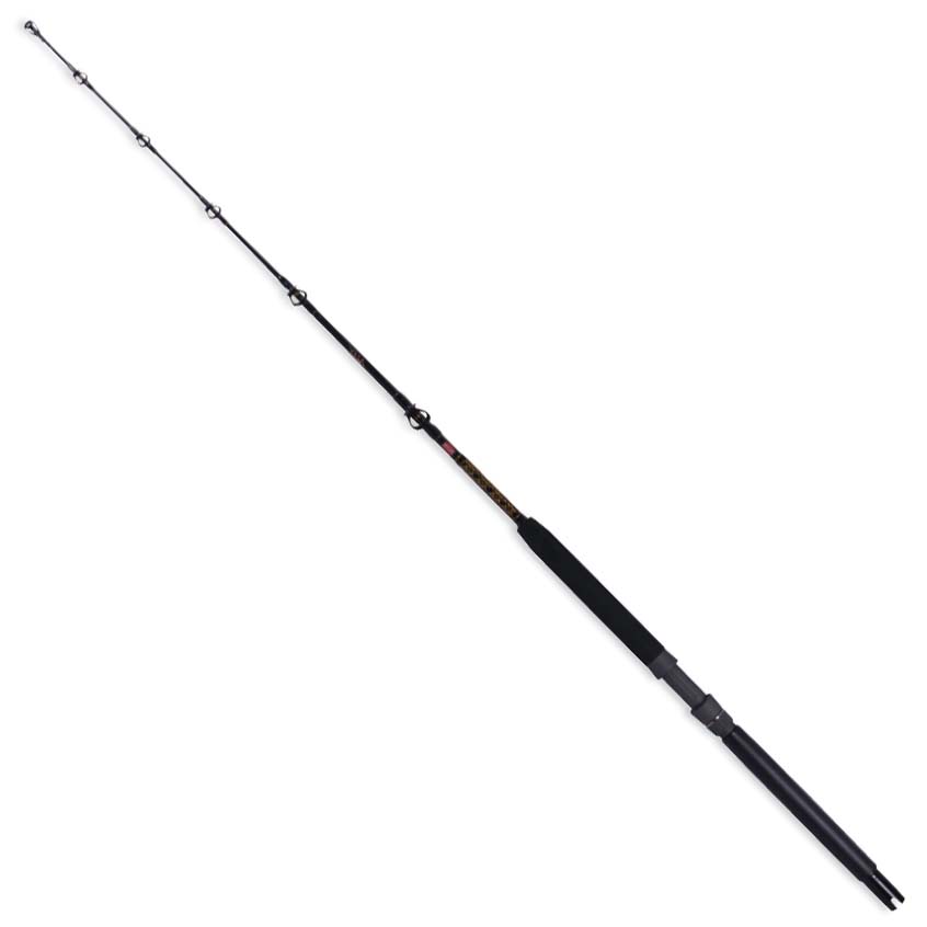 PENN Ally Boat Casting 5'6"